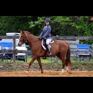 Meet your Posher, Morgan